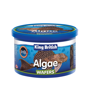 King British Algae Wafers (with IHB)