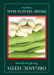 French Bean Dwarf Cannellino Organic