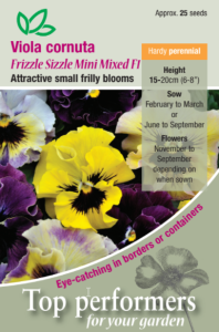 Viola Frizzle Sizzle Mini Mixed F1               