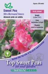 Sweet Pea Mrs Bernard Jones