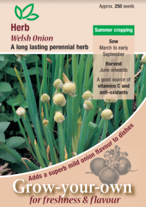 Herb Welsh Onion                                