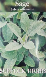 Suffolk Herbs -  Sage                                       