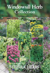 Herb Windowsill Collection Pack                      