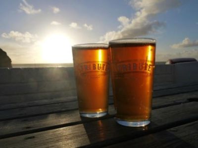 Tribute - Cornish Pale Ale Beer Kit