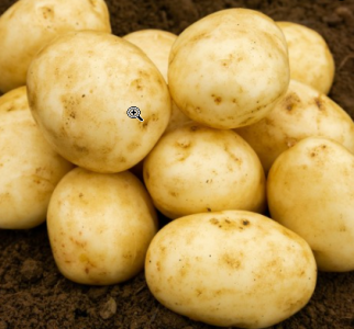 20kg Carlingford Seed Potatoes