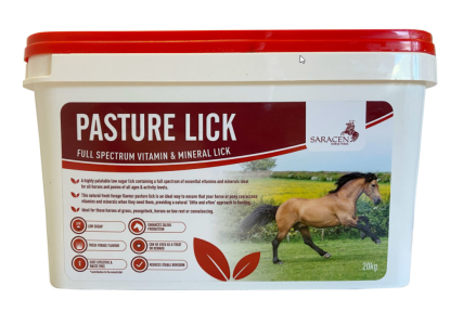 Saracen Pasture Lick 10kg                                   