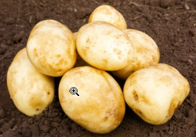 2Kg Pentland Dell Seed Potatoes