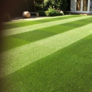 Quality Lawn with Ryegrass PM50 20kg
