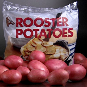 8 x 2kg Rooster Seed Potatoes