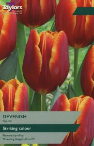 Taylors Tulips - Devenish