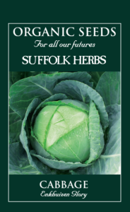 Cabbage Enkuizen Glory Organic                 