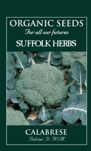 Calabrese Belstar F1 Organic                    