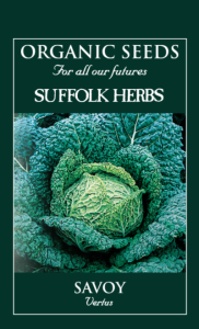 Cabbage Savoy Vertus Organic               