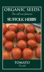 Tomato Koralik Organic                         