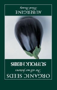 Aubergine Black Beauty                 