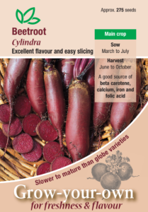 Beetroot Cylindra                             