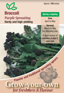 Broccoli Purple Sprouting                        
