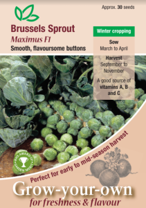Brussels Sprout Maximus F1 RHS AGM                 