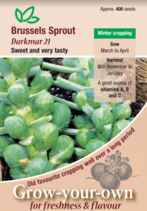 Brussels Sprout Darkmar 21                        