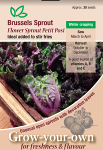 Brussels Sprout Flower Petit Posi                  