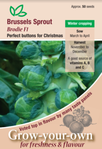 Brussels Sprout Brodie F1                    