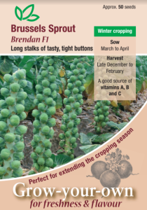 Brussels Sprout Brendan F1                       