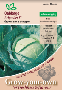 Cabbage Brigadier F1                            