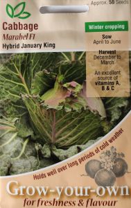 Cabbage January King Marabel F1 