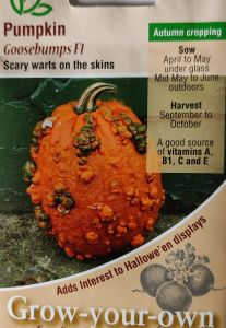 Pumpkin Goosebumps F1                      