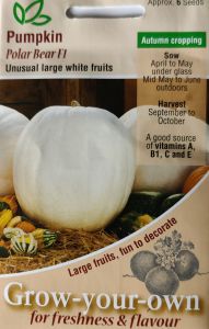 Pumpkin Polar Bear F1                              