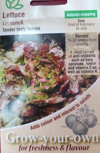 Lettuce Cervanek                       