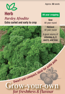 Herb Parsley Afrodite                                 