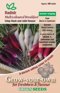 Radish Multicoloured Breakfast 