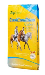 Topspec Cool Condition Cubes 20kg                           