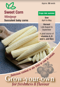 Sweetcorn Minipop 