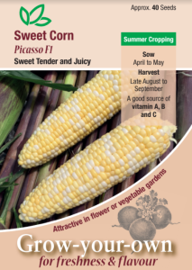 Sweetcorn Picasso F1                              
