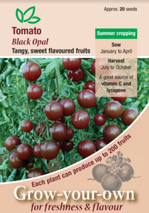 Tomato Black Opal 