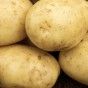 2kg Elfe Seed Potatoes