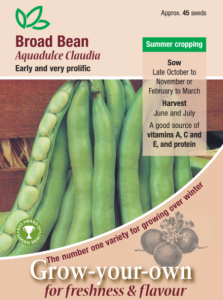Broad Bean Aquadulce Claudia                    