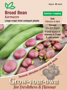 Broad Bean Karmazyn                     