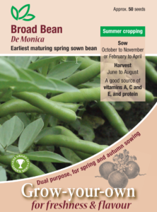 Broad Bean De Monica