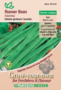 Runner Bean Enorma                                