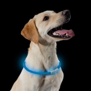 Ancol USB Flashing Band Blue