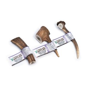Highland Antler Medium