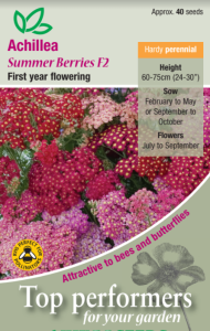 Achillea Summer Berries F2                