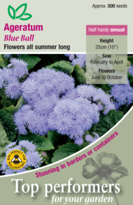 Ageratum Blue Ball                             