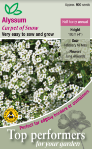 Alyssum Carpet Of Snow                          