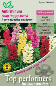 Antirrhinum Snap Happy 