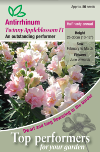 Antirrhinum Twinny Appleblossom F1