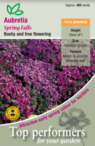 Aubretia Spring Falls                         